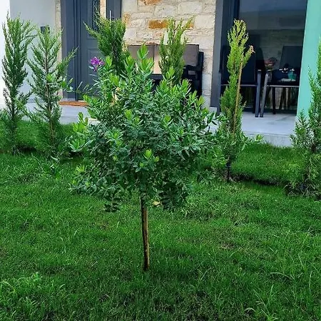 ヴィラ Danielli Luxury Skala Rachoni (Thasos)